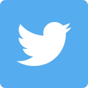 Condividi su Twitter